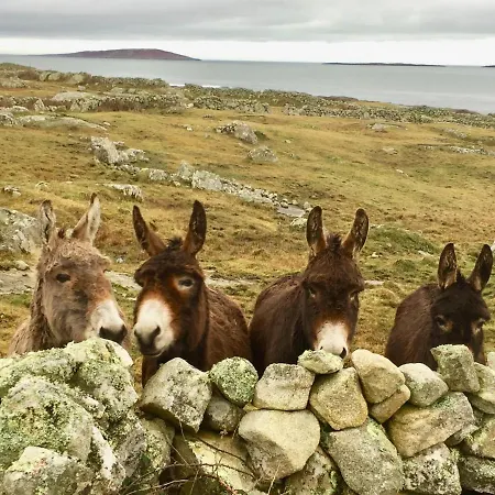 Earls View Caravan Campsite Carna