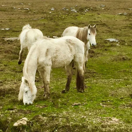 Kemp Earls View Caravan