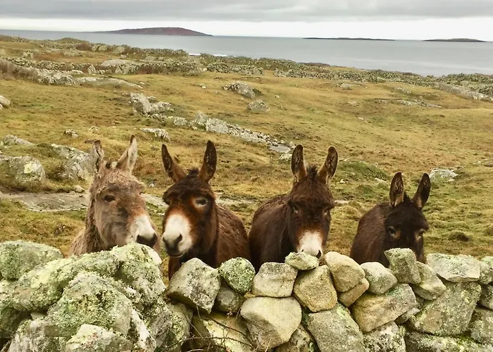 Earls View Caravan Кемпинг Carna