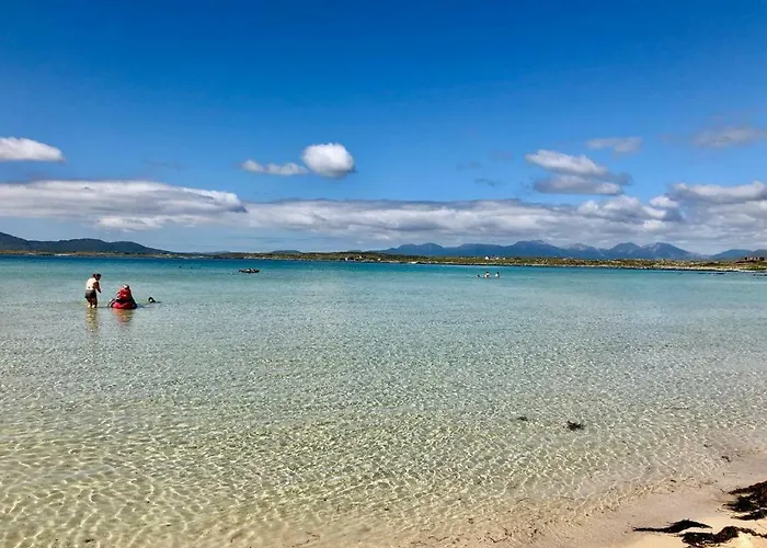 Earls View Caravan Кемпинг